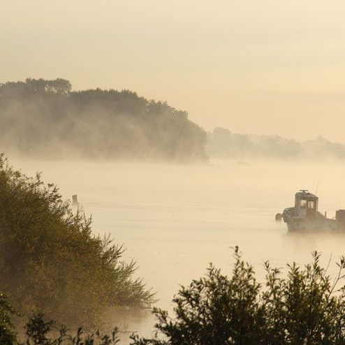 Île Clémentine : balade nature près de Nantes