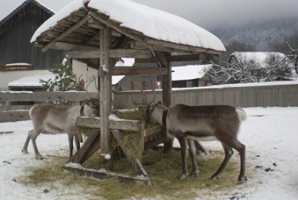 Le Hameau du Père Noël hiver 2022-2023 : rencontres avec le Père Noël