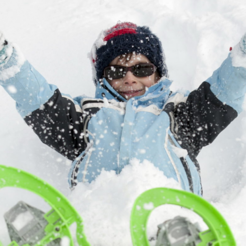 L'hiver 2019 au Centre Pessade Pleine Nature