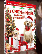 Coucours Chien de noël @zylo