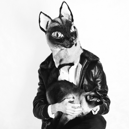 La Nuit du Polaris 2020 : la nuit de l'animal civilisé