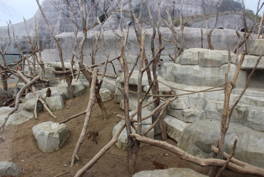 Parc zoologique de Paris @CitizenKid