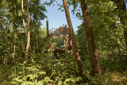 Ecolodge Your Nature en Wallonie