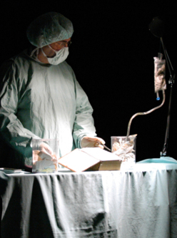 Le Véto Libraire - Cie Les Chercheurs d’Art associés