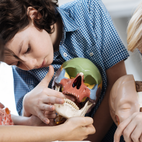 Fête de la science Strasbourg
