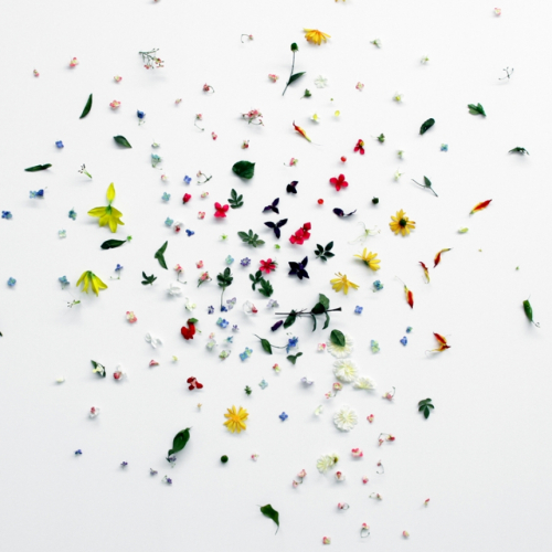 Expo Comme un boomerang