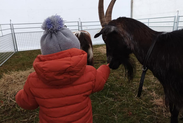 Ferme de la Marinette