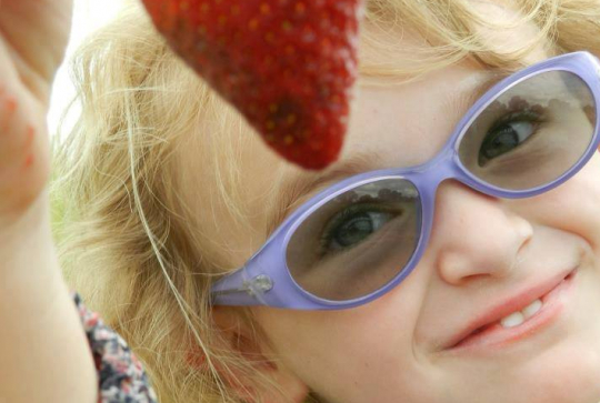 Vergers du Bois Macé - Cueillette avec les enfants