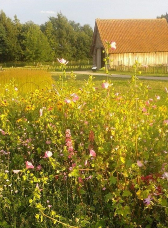 Musée de Plein Air - Chasse aux oeufs de Pâques 2019