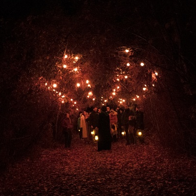 Auvèrnha - La promenade enchantée à la forêt des Arboris
