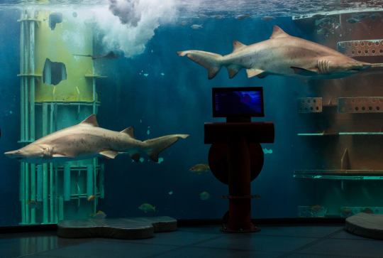 Grand Aquarium - Saint-Malo