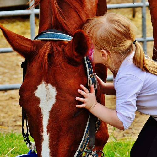 les estivales des hippodromes de Marseille