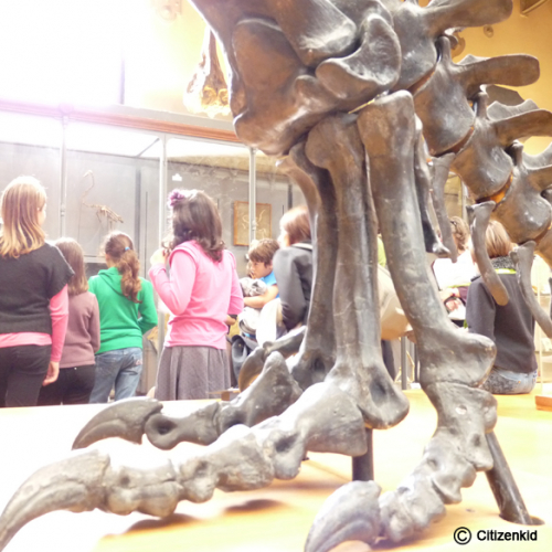 eventscitizenkidagedeglace