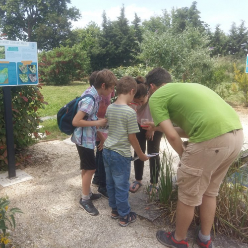 Festival des abeilles epicurium