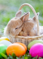 Pâques 2024 au Parc de loisirs Jacques Vernier à Douai : petits lapins dans un panier pour la chasse aux œufs