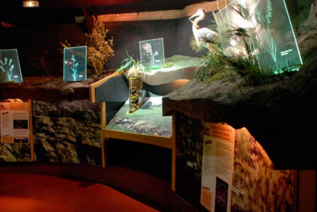 Centre Eden : l'espace muséographique