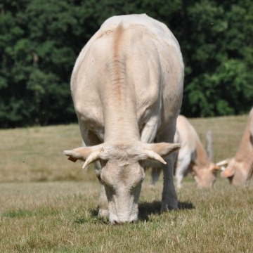 Bienvenue à la ferme - Ferme des sablons