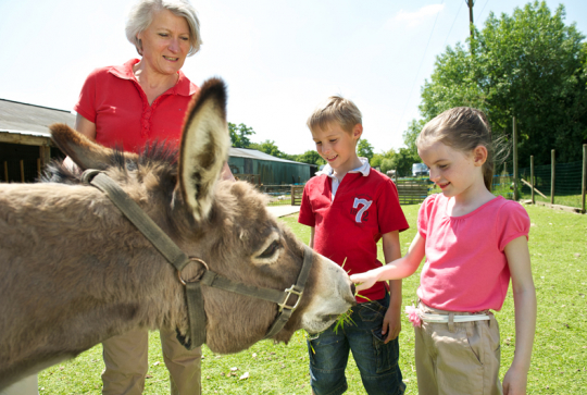 Ferme pédagogique Le Moulin du Bois