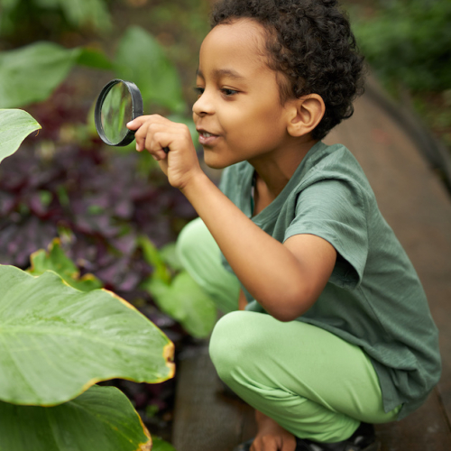 Fête de la Nature 2022 en Haute-Garonne (Toulouse)