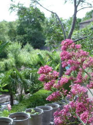 jardin des paradis