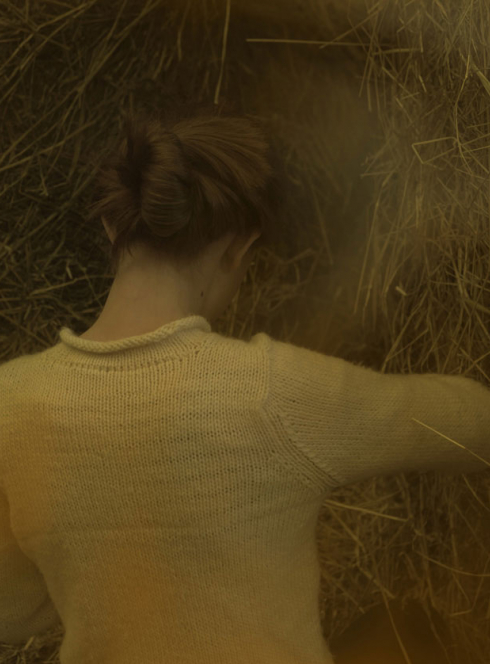 Poil de Carotte - Silvia Costa