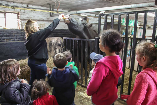 Ferme éducative de Lomme : Étable