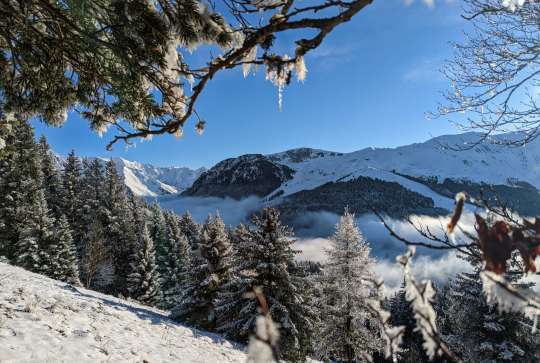 Alpes du Grand Serre