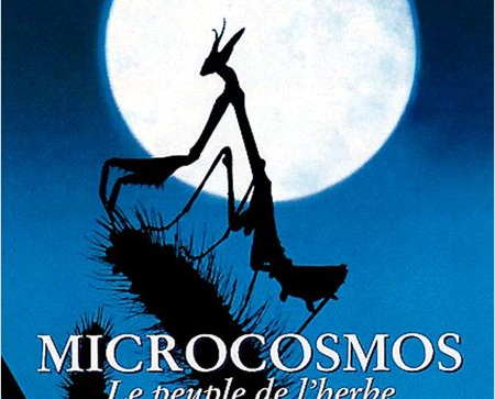 Microcosmos, le peuple de l'herbe