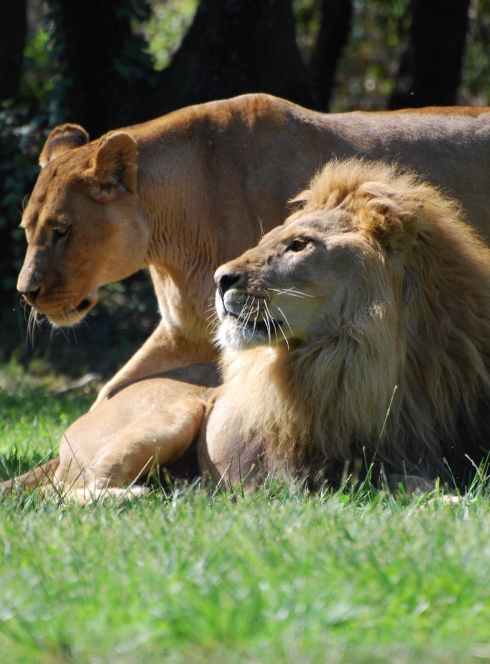Zoo de La Barben