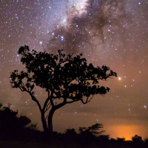 Les Nuits des Etoiles 2019 à Marseille et dans les Bouches-du-Rhône