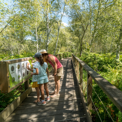 Randos autour de Bordeaux