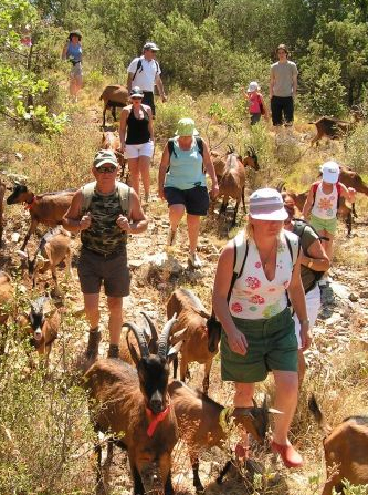 Chèvrerie du Bois d'Amon