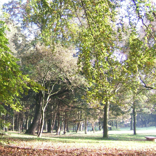 Le domaine du Vert-Bois