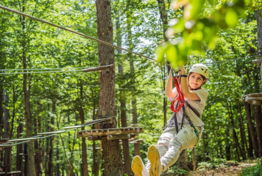 Tree Experience - Tyrolienne