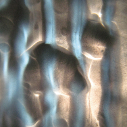 Zone Translucide Frédéric Le Junter