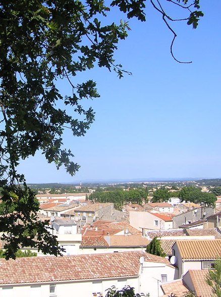 Mauguio