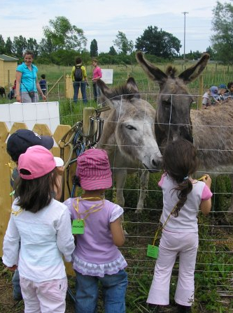 Anniversaire à la Ferme de Cinquante