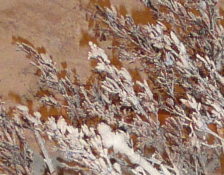 Concours mon beau sapin 2014 - Laurence