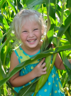 Petite fille dans un champs de maïs