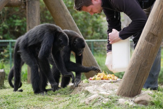 Parc zoologique de Fréjus