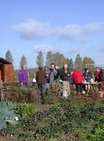 jardinage-voisins-villiers-le-bacle