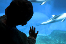 Enfant aquarium