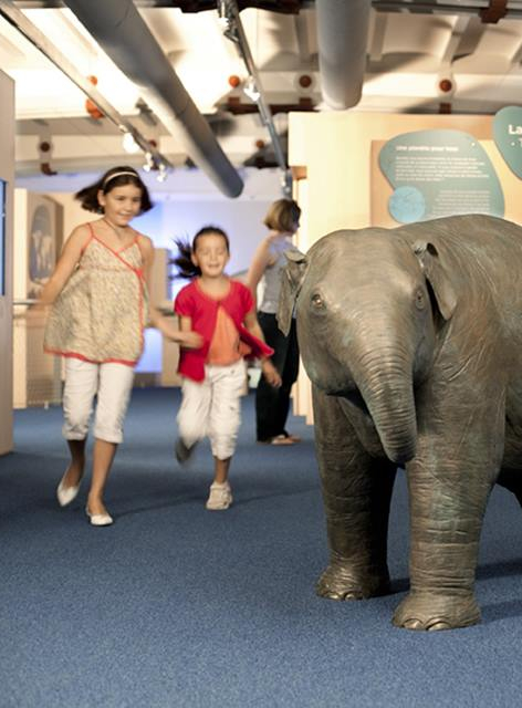 Nuit des Musées 2019 - Muséum d'Histoire Naturelle