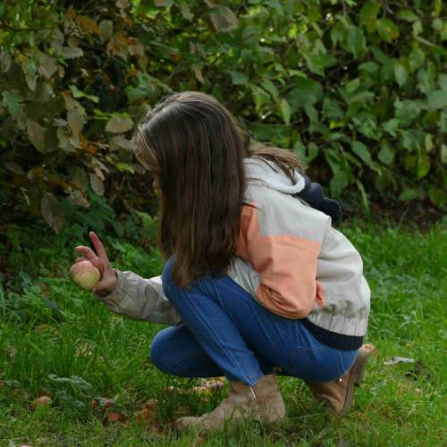 Du verger à l'assiette - Écomusée de la Bintinais