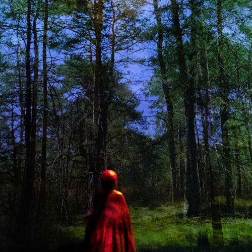 Le petit chaperon rouge