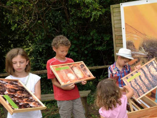 La Folie de Finfarine : activités