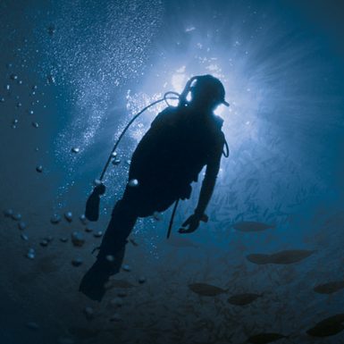 Pariscience - Affiche 2019