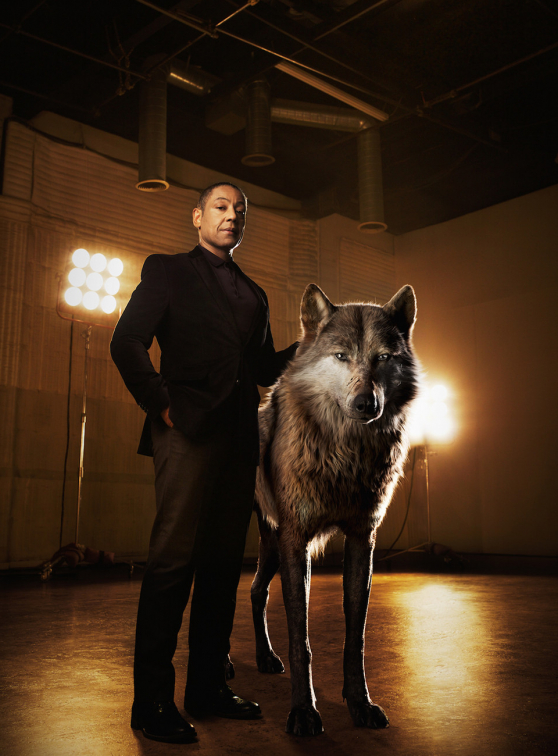 Le Livre de la Jungle