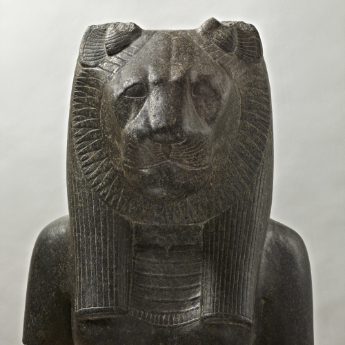 Nuit des musées 2019 au Musée d'archéologie méditerranéenne