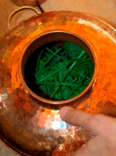 Les Plantes et leurs secrets - Villette